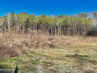 504 Wiggins Rd, Tellico Plains, TN 37385