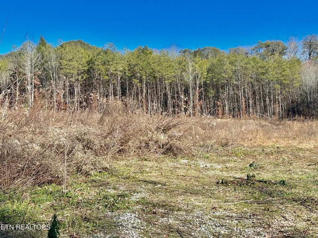 504 Wiggins Rd, Tellico Plains, TN 37385