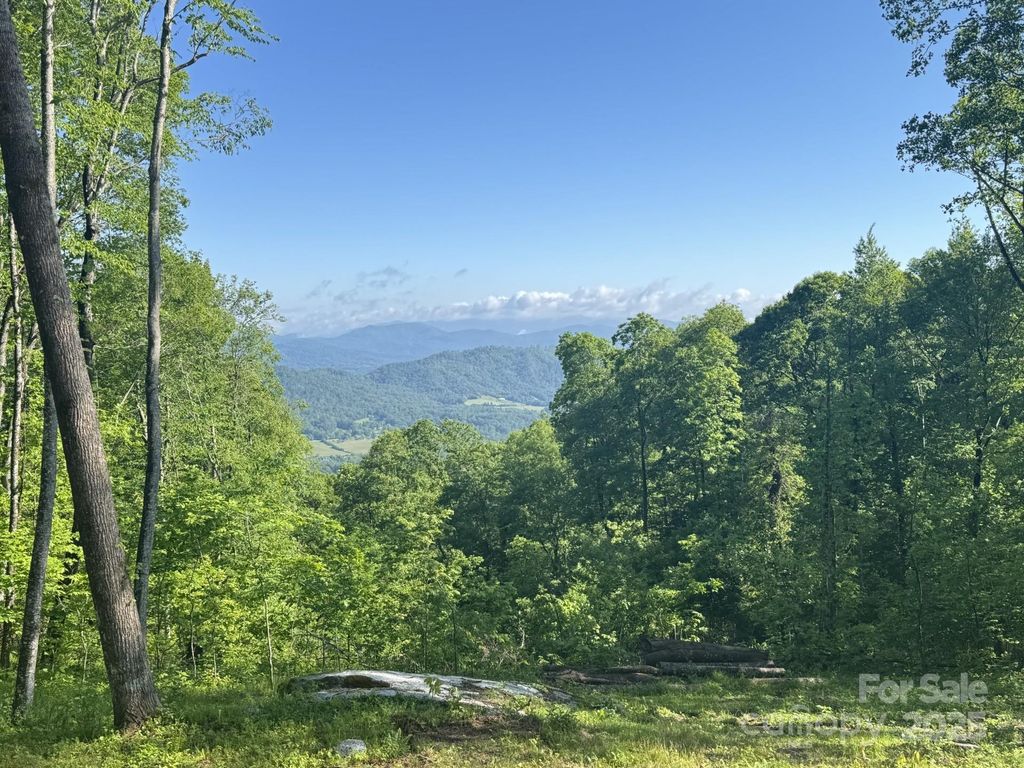 0000 West Garden Trail Lot 65, Hendersonville, NC 28792