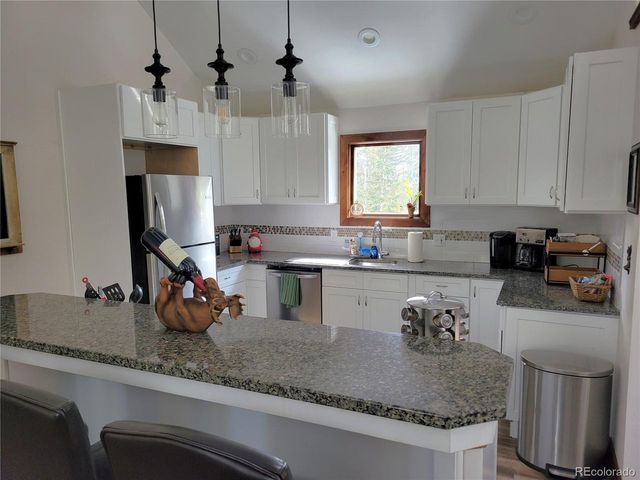 1561 Prunes Pl, Fairplay, CO 80440