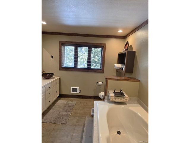 1561 Prunes Pl, Fairplay, CO 80440