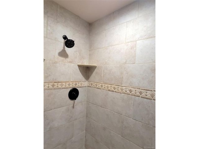 1561 Prunes Pl, Fairplay, CO 80440