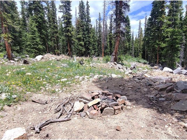 1561 Prunes Pl, Fairplay, CO 80440