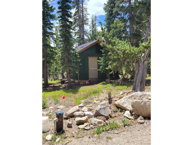 1561 Prunes Pl, Fairplay, CO 80440