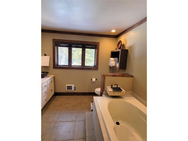 1561 Prunes Pl, Fairplay, CO 80440