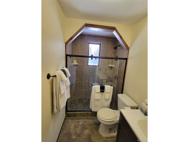 1561 Prunes Pl, Fairplay, CO 80440