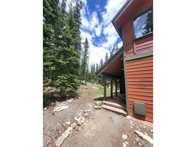1561 Prunes Pl, Fairplay, CO 80440