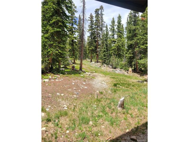 1561 Prunes Pl, Fairplay, CO 80440