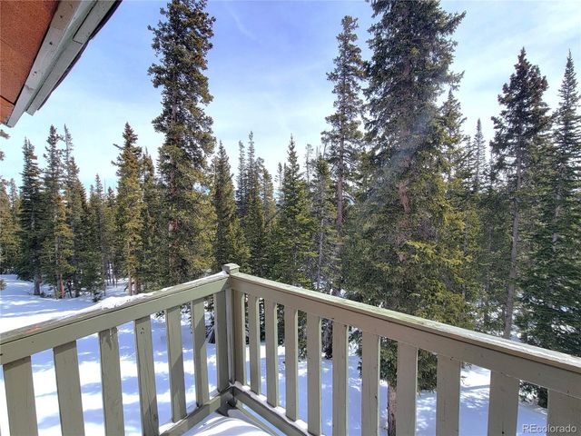 1561 Prunes Pl, Fairplay, CO 80440