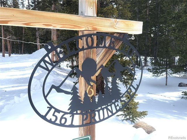 1561 Prunes Pl, Fairplay, CO 80440