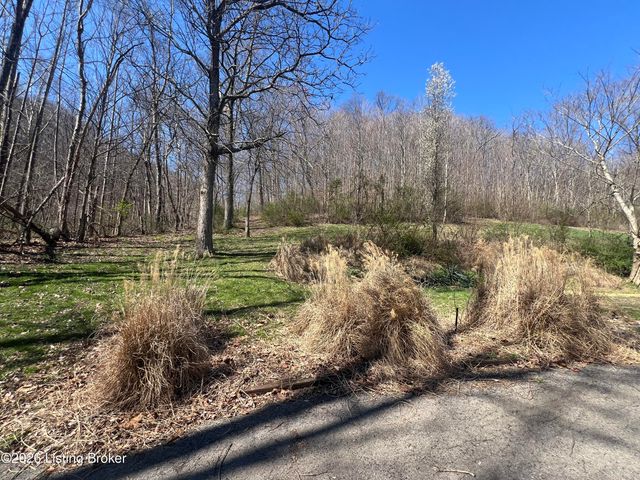 150 Downs Ln, Shepherdsville, KY 40165