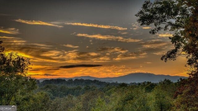 348 Lookout Trail, Mineral Bluff, GA 30559