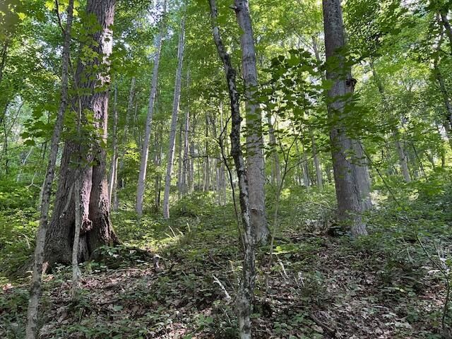 23769 State Route 327, Laurelville, OH 43135