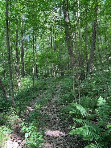 23769 State Route 327, Laurelville, OH 43135