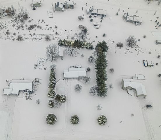 9073 Wabasis Shores Drive, Greenville, MI 48838