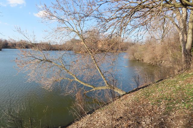 5543 E Lake Drive A, Lisle, IL 60532