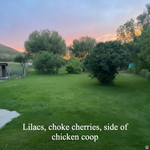 6603 N 6500 W, Vernal, UT 84078