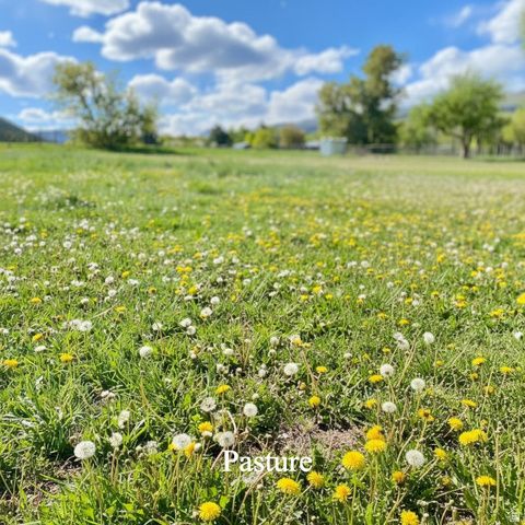 6603 N 6500 W, Vernal, UT 84078