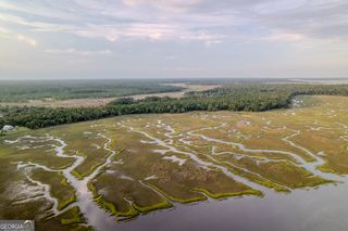 0 Sheffield Island Road 7, Woodbine, GA 31569