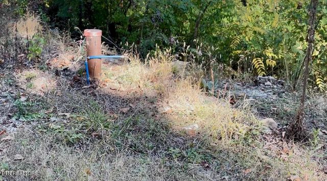 1538 Mayflower Lane, Dandridge, TN 37725