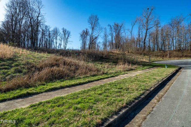 1579 Becky Drive, Johnson City, TN 37601
