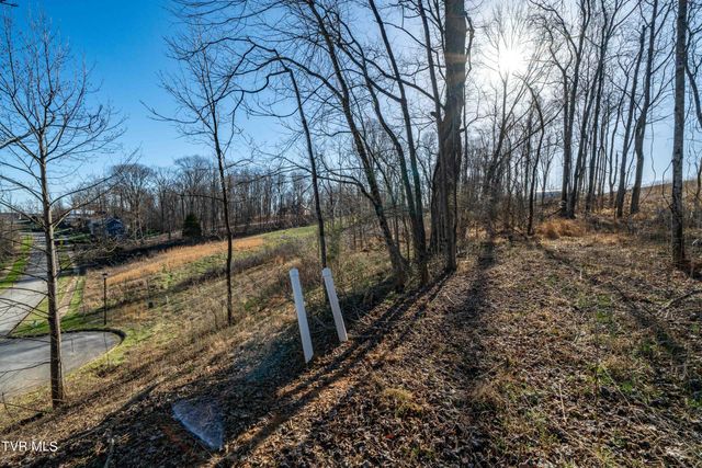 1579 Becky Drive, Johnson City, TN 37601