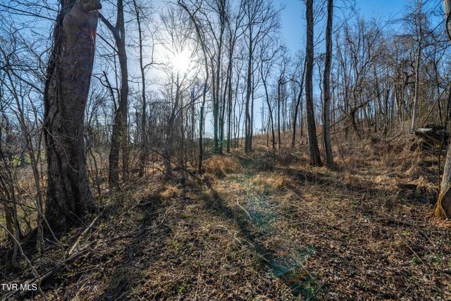 1579 Becky Drive, Johnson City, TN 37601
