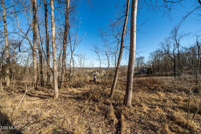 1579 Becky Drive, Johnson City, TN 37601