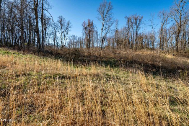 1579 Becky Drive, Johnson City, TN 37601