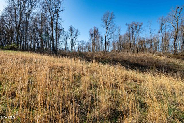 1579 Becky Drive, Johnson City, TN 37601