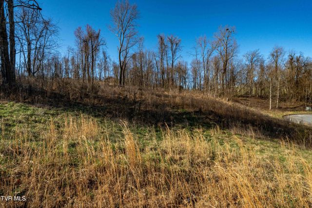 1579 Becky Drive, Johnson City, TN 37601