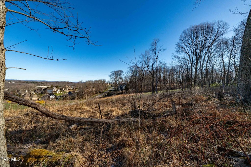 1579 Becky Drive, Johnson City, TN 37601