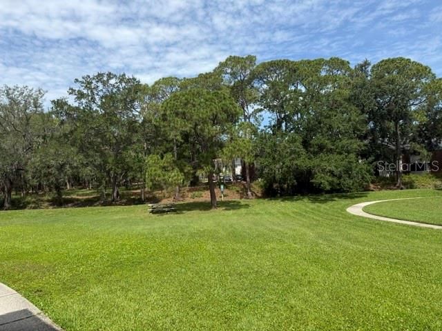 9100 DR MARTIN LUTHER KING JR STREET N 512, St Petersburg, FL 33702