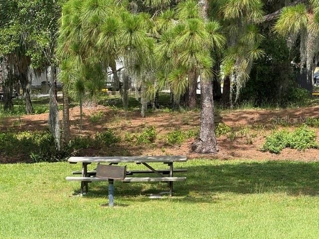 9100 DR MARTIN LUTHER KING JR STREET N 512, St Petersburg, FL 33702