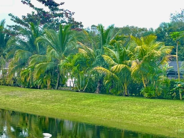10874 Royal Palm Blvd 10874, Coral Springs, FL 33065