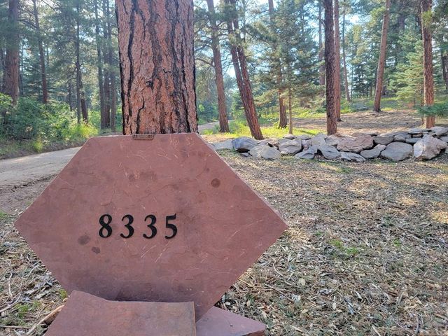 8335 Zorn Rd, Rye, CO 81069