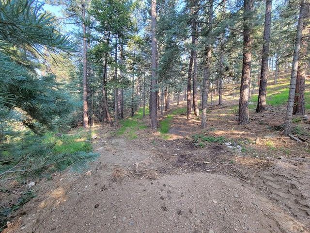 8335 Zorn Rd, Rye, CO 81069