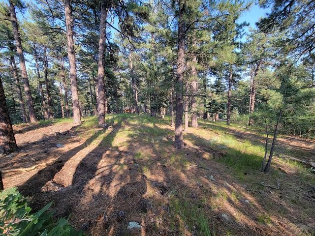 8335 Zorn Rd, Rye, CO 81069