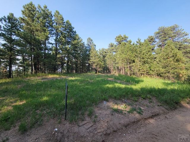 8335 Zorn Rd, Rye, CO 81069