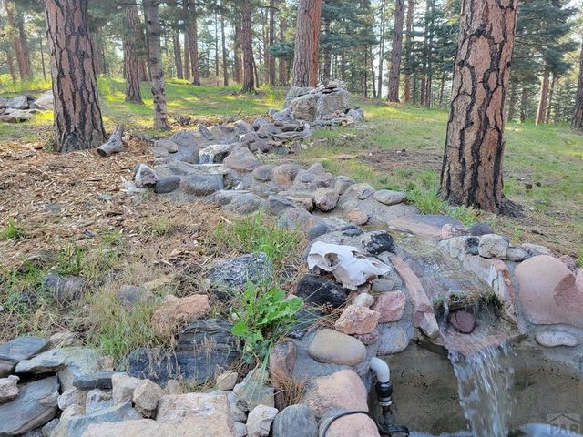 8335 Zorn Rd, Rye, CO 81069