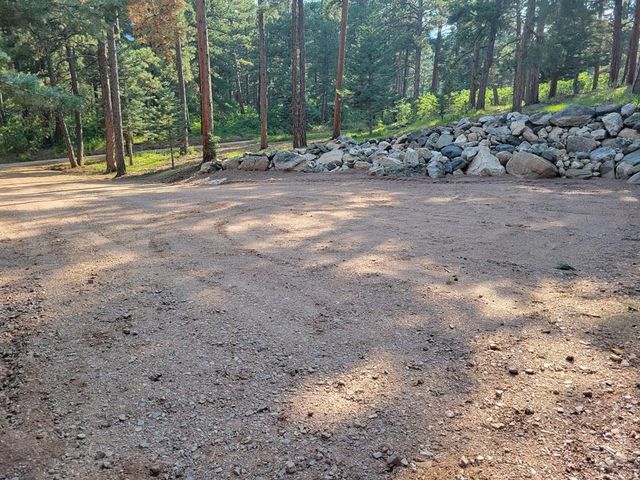 8335 Zorn Rd, Rye, CO 81069