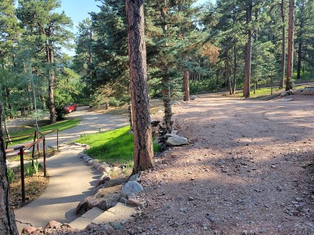 8335 Zorn Rd, Rye, CO 81069