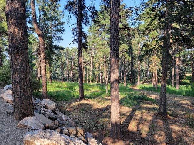 8335 Zorn Rd, Rye, CO 81069