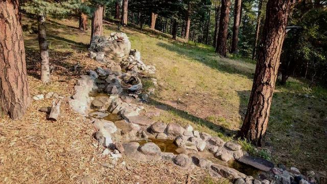 8335 Zorn Rd, Rye, CO 81069