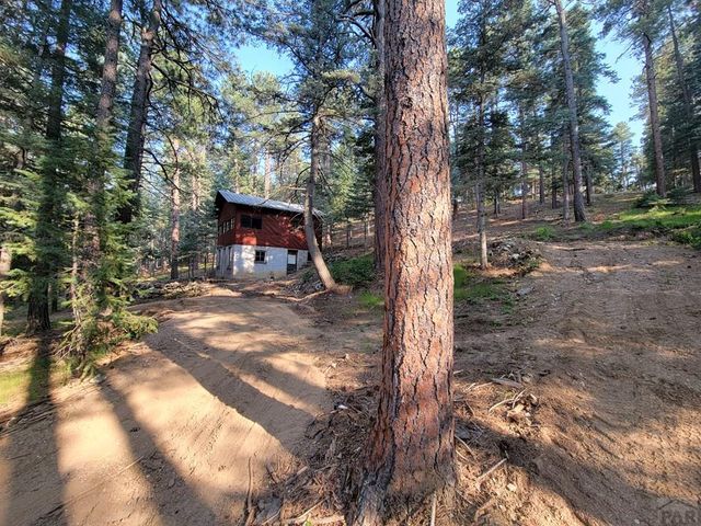 8335 Zorn Rd, Rye, CO 81069