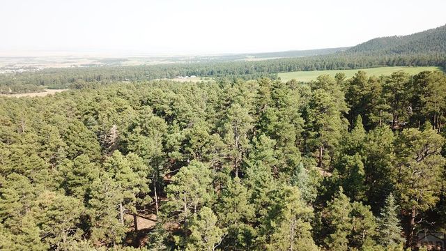 8335 Zorn Rd, Rye, CO 81069