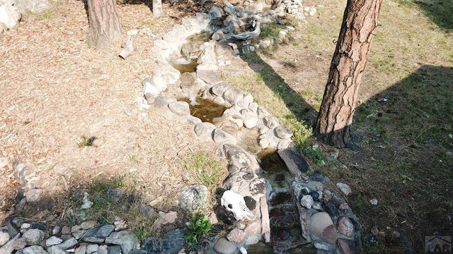 8335 Zorn Rd, Rye, CO 81069