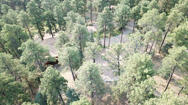 8335 Zorn Rd, Rye, CO 81069