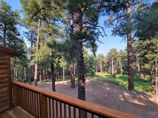 8335 Zorn Rd, Rye, CO 81069