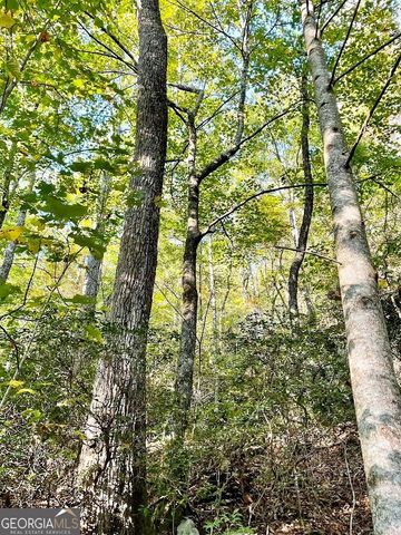 0 Blue Ridge Gap Road, Rabun Gap, GA 30568
